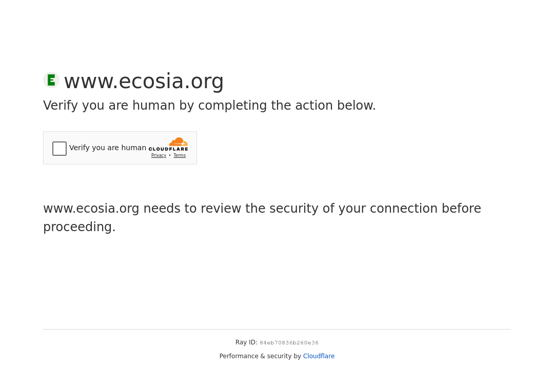 Suchmaschine Ecosia.org Website